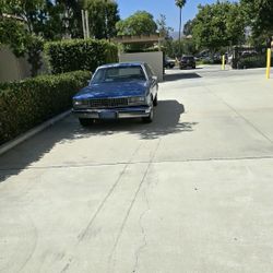 1982 Chevy Malibu 