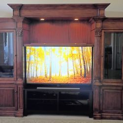 Entertainment Center