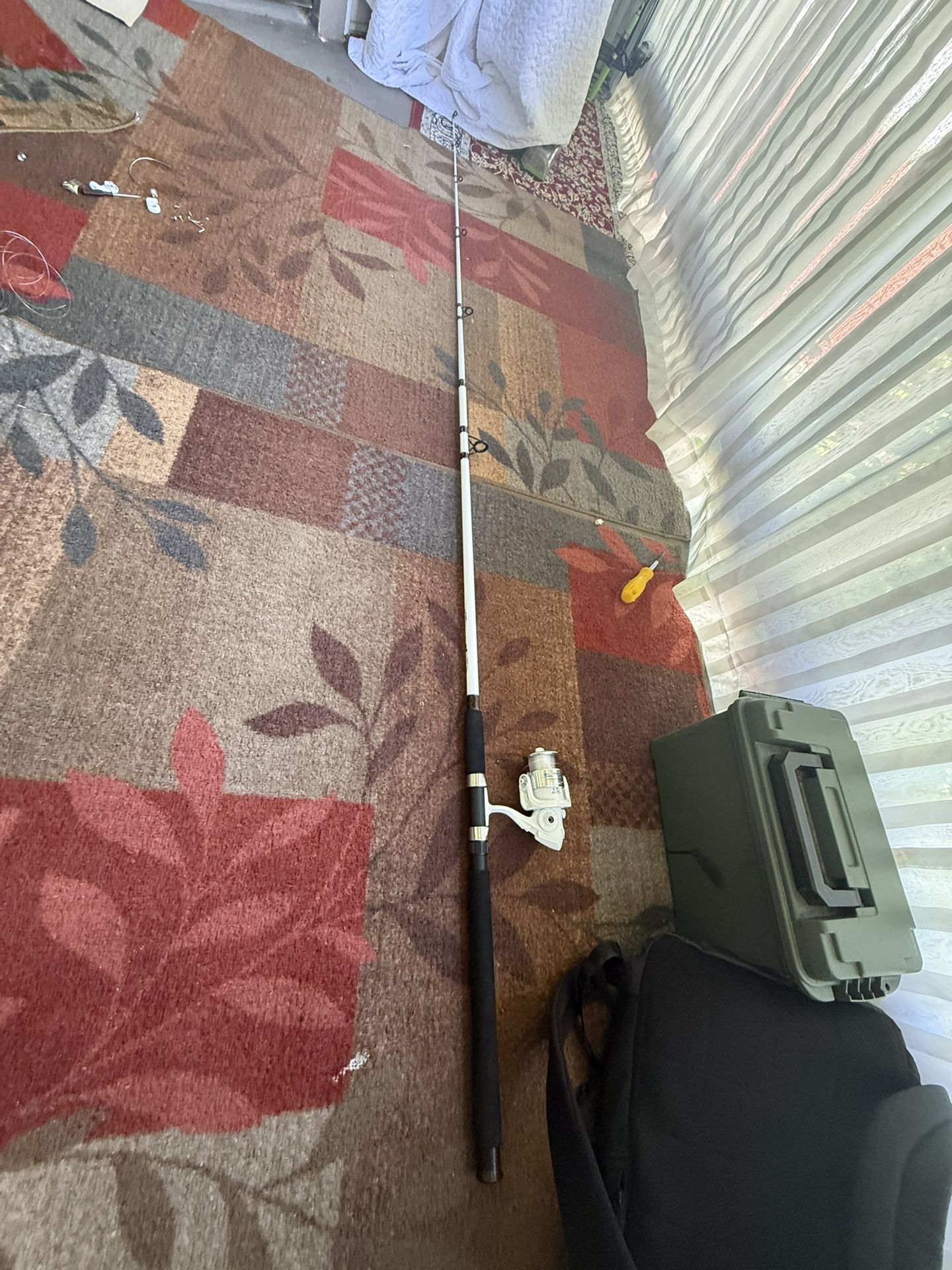 Fishing Rod & Reel