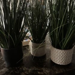 Fake Plant Decor 