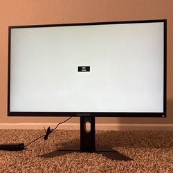 Computer Monitor 