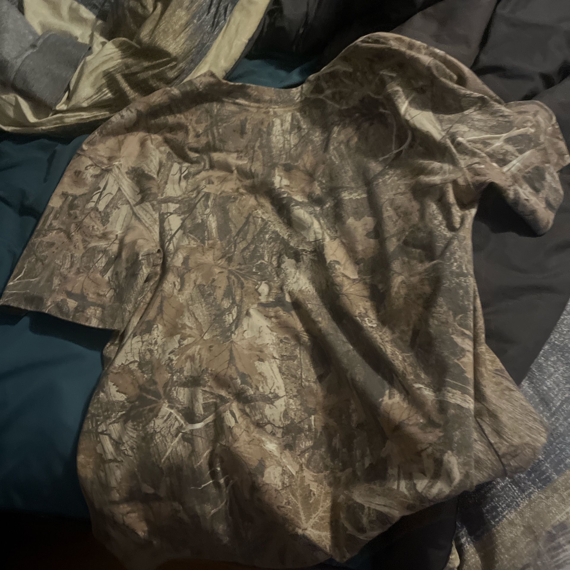 Hollister Camo