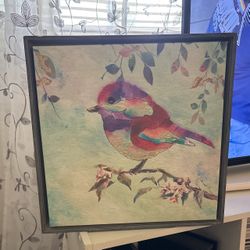 Pretty Bird Painting In A Boxed Frame