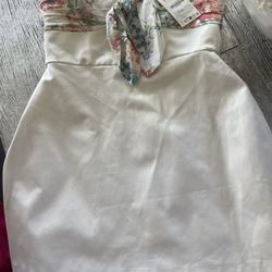 Zara Dress 