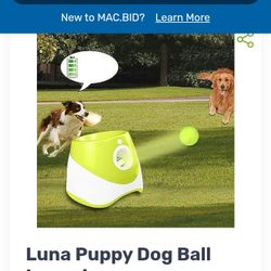 Automatic Ball Thrower 