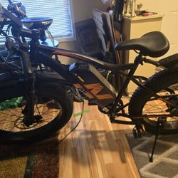 Zdza ZA01 1500watt Motor Electric Bicycle