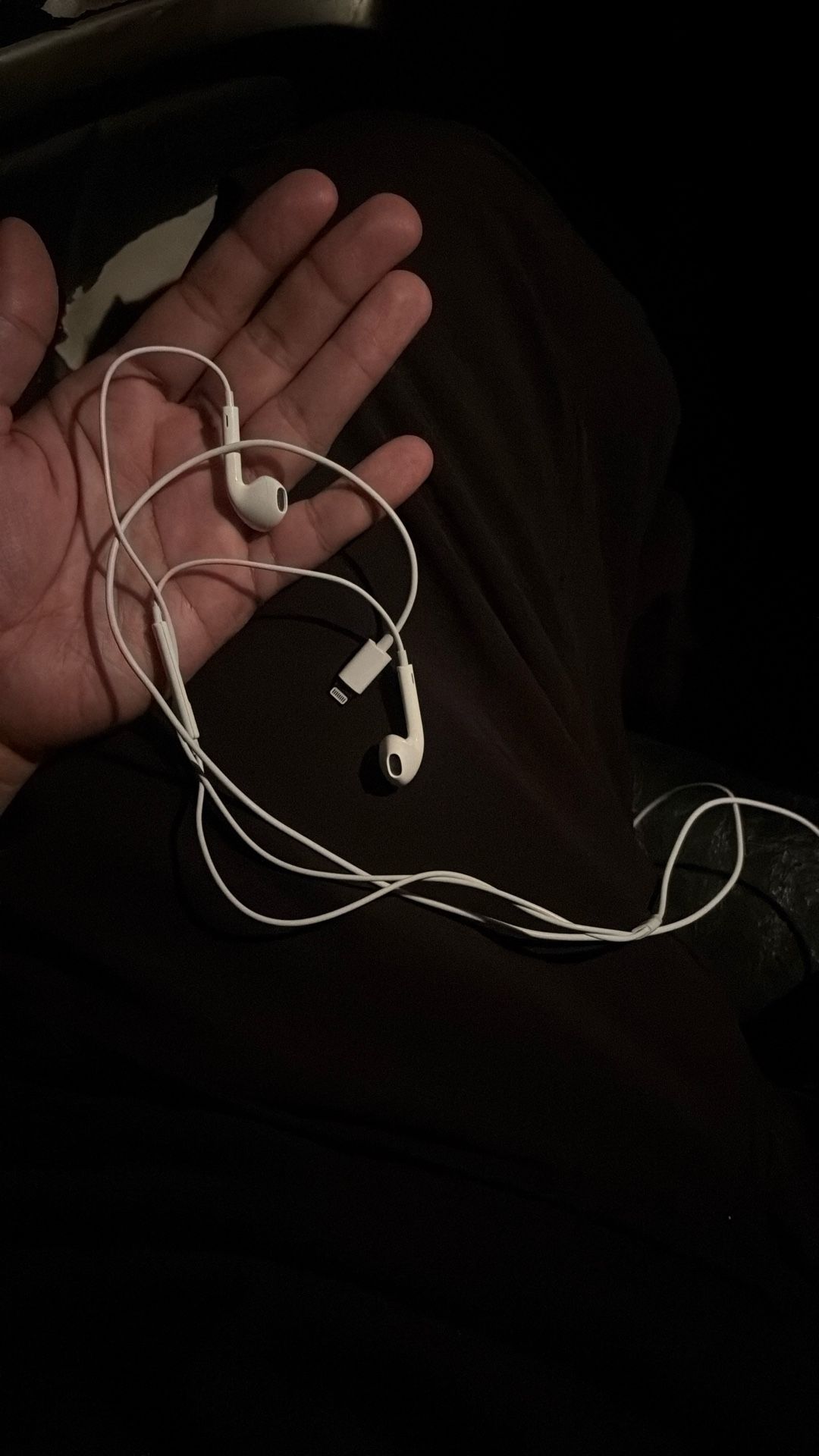 Brand New Lightning Cable Headphones