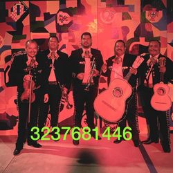 Trumpet Violín Mariachi