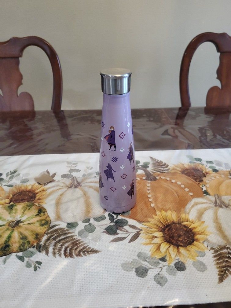 Frozen Stainless Steel Water Bottle