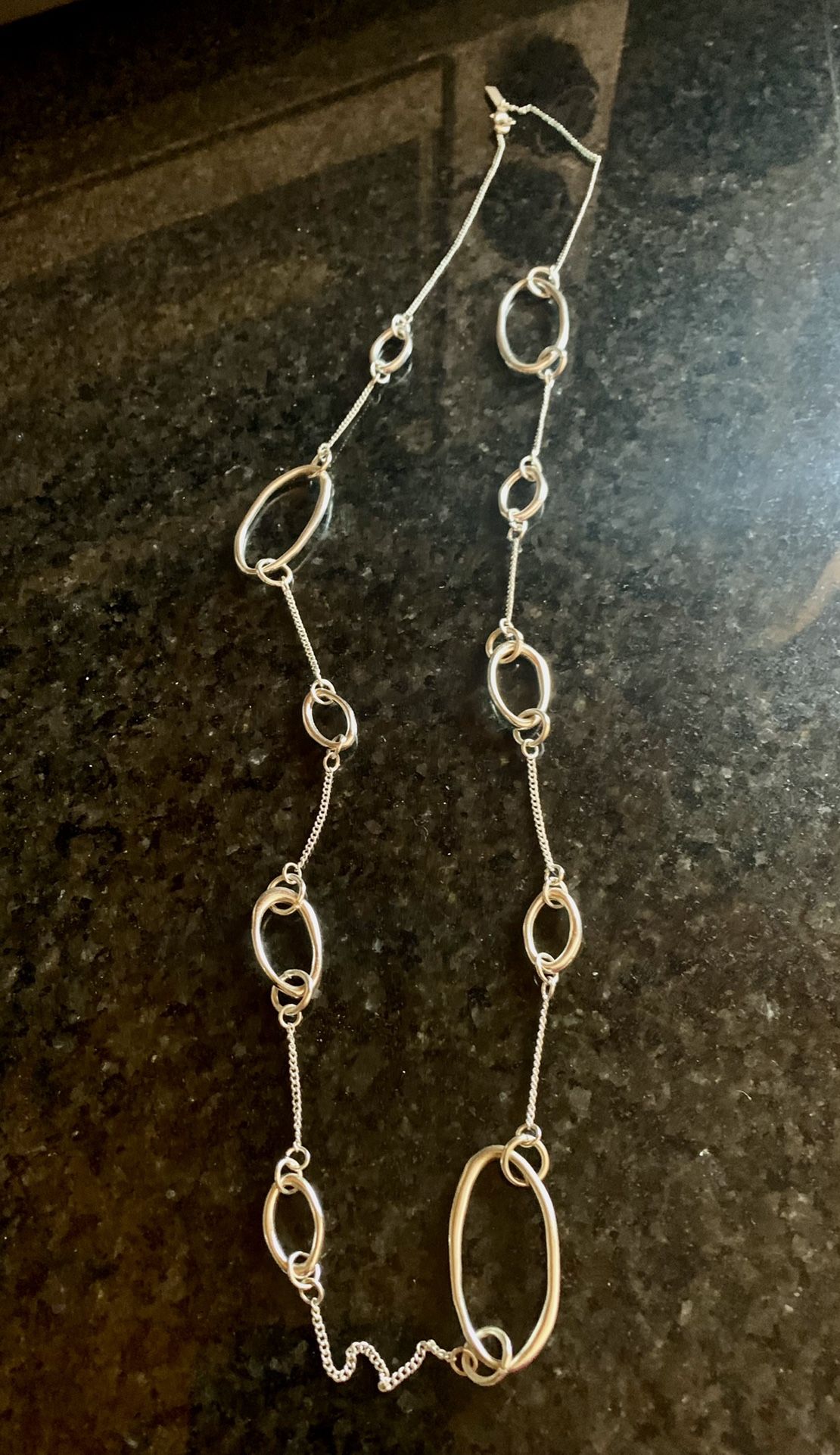 Daisy Fuentes Long Silver Tone Necklace