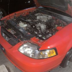 2000 Ford Mustang