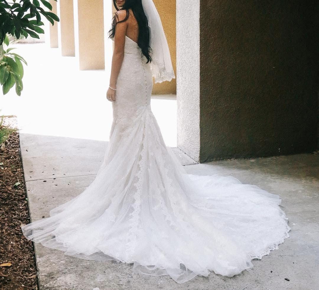 Essence Of Australia 