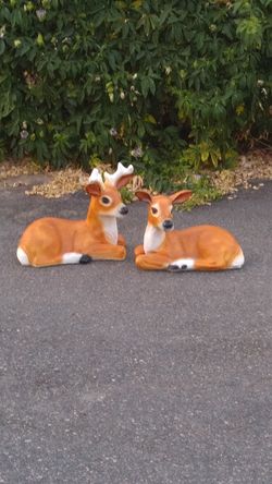 Deer back in stock for Christmas pottery yard decoration