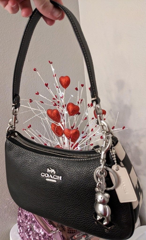 Brand New Authentic Coach Bag