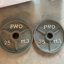 25lbs Weights 