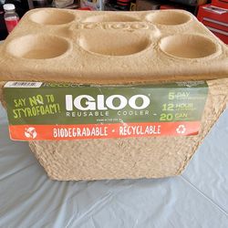 Igloo Reusable Cooler