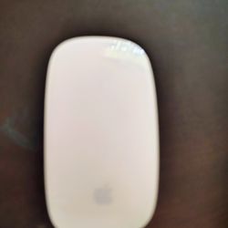 Apple Mouse Cordless 