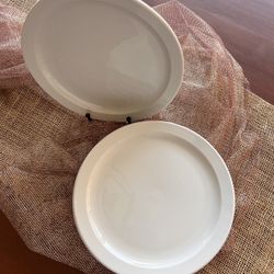 9inch White Dinner Plates