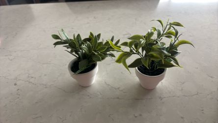 Mini Artificial Plants in White Pots – Set of 2