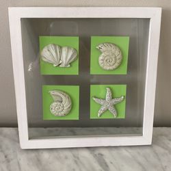 3D Sea Life In Glass Frame With Lime Green Accents