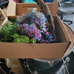 Aquarium Plants and Filter