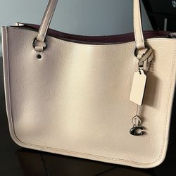 Coach Purse With Zipper Inside. Used, But Good Condition And Clean. Faded Blush (peachy) Color 