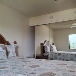 Queen Comforter & 2 Shams