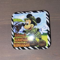 Disney’s Animal Kingdom Pin