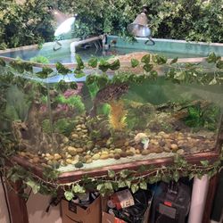 Large corner fish tank aquarium