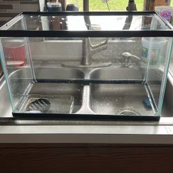 Fish Tank 