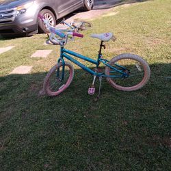 Huffy Blue In Pink Small