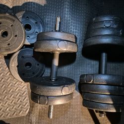 30lbs Each Dumbells Weights