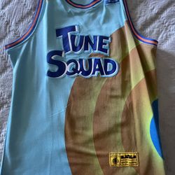 LeBron Tune Squad jersey 