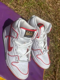8.5 sb dunks Paul Rodriguez