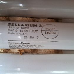 Wolff System Bellarium S SA1-10- 100W RS RDC Tanning Bulb 10 89 D