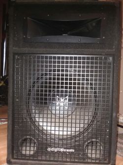 2 15 inche Digital Pro Audio speaker