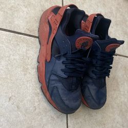 Hirachi Nikes And Red Puma Suedes 
