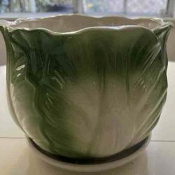 Cabbage Ceramic Planter – Symbol of Wealth – Extra Large – $20