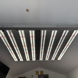 HighYield Carsontechnology LED Light