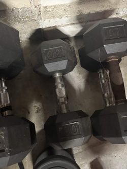 Coated 30 Lbs. Dumbbell