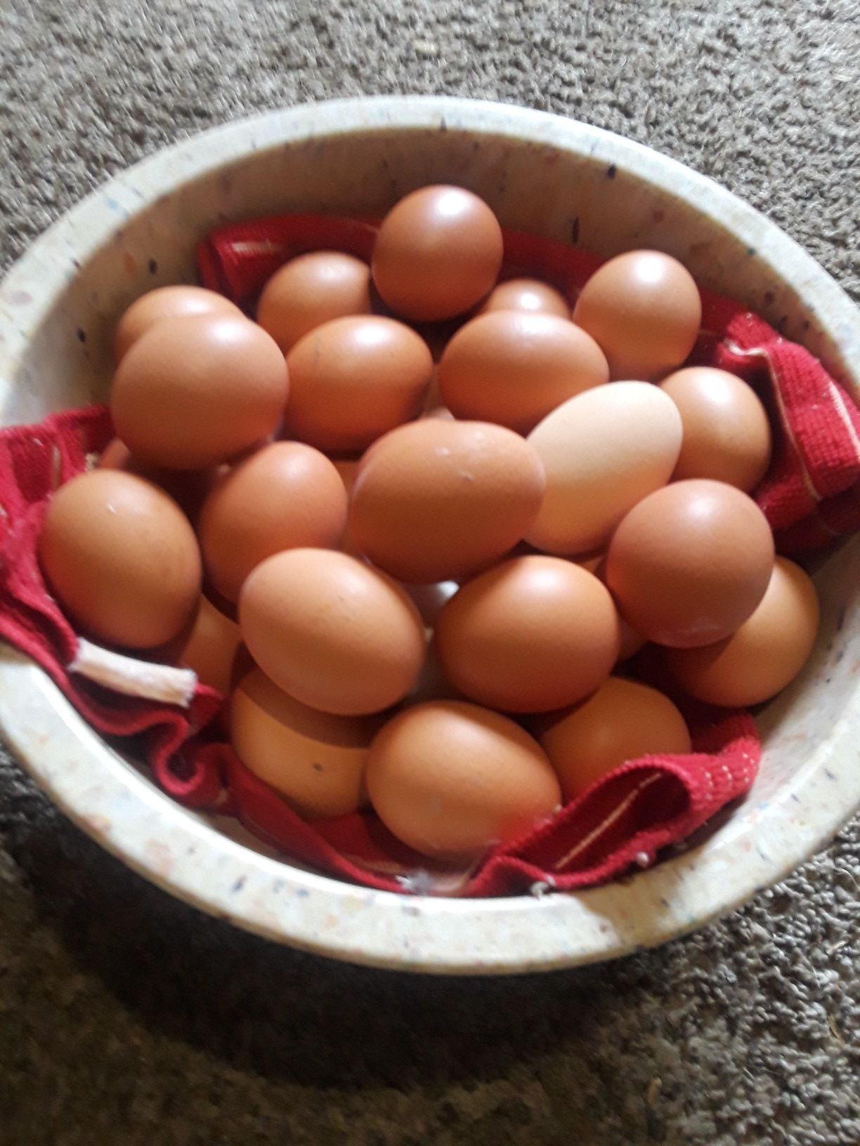 Farm Fresh free range organic chicken eggs