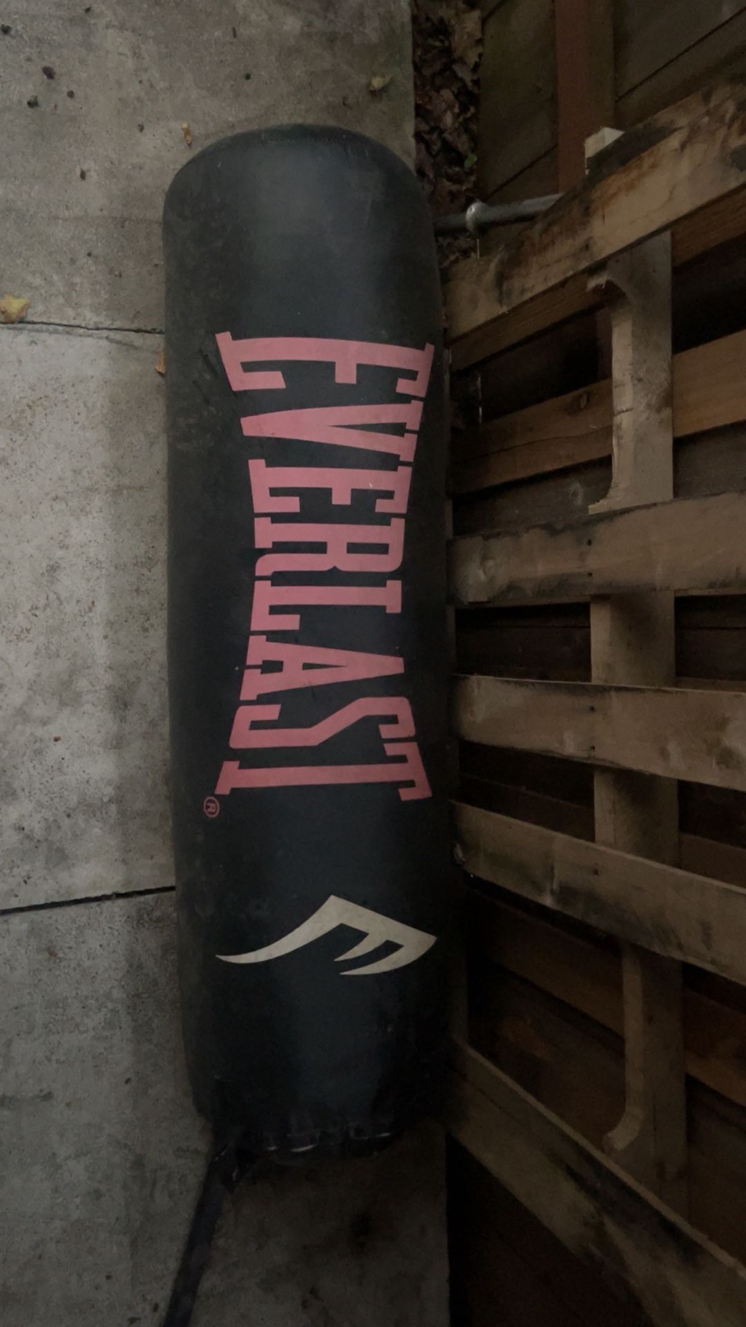 100lb Everlast Punching Bag 