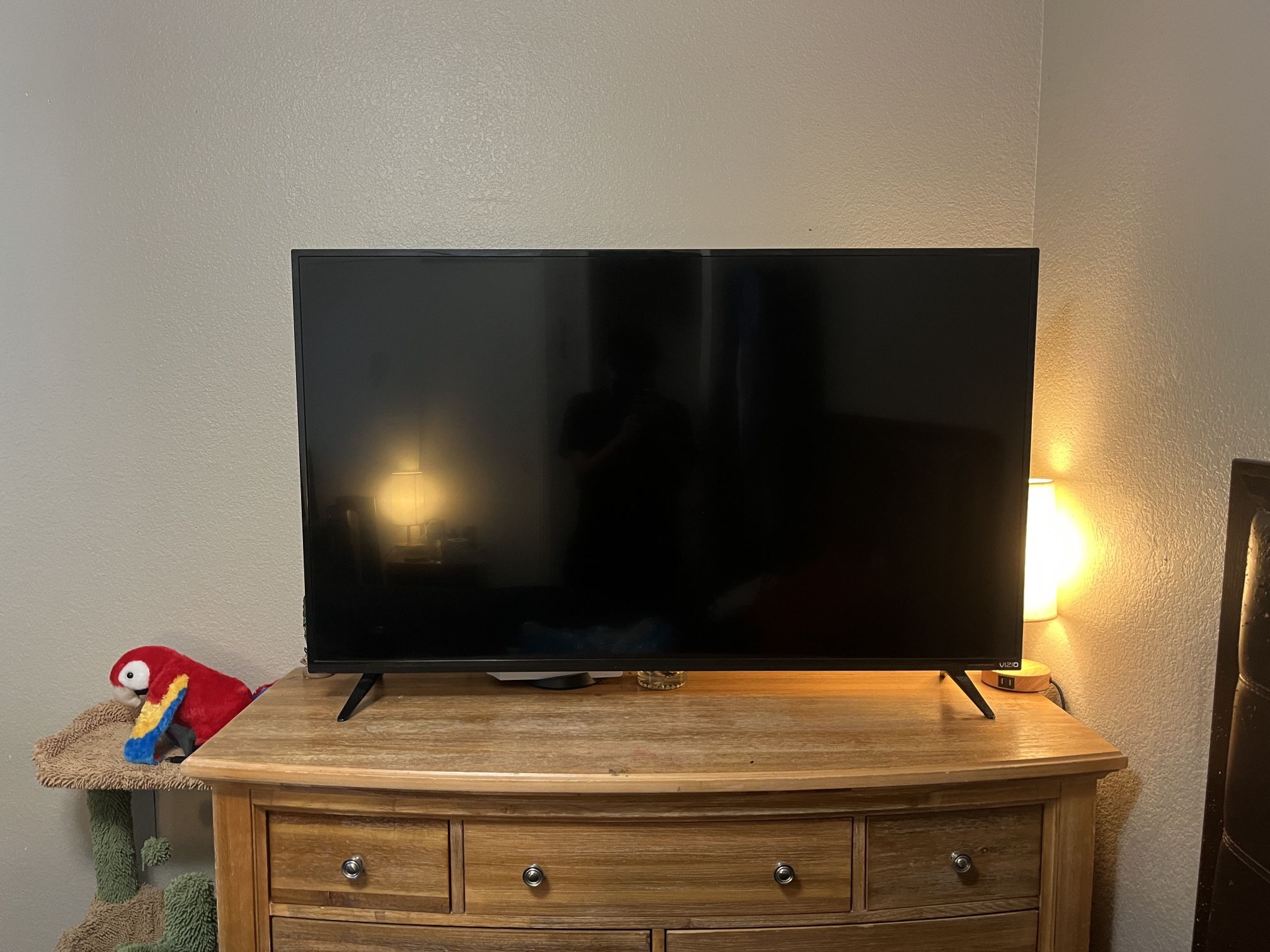 Vizio 55” Smart TV