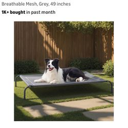 Outdoor Raised pet bed
