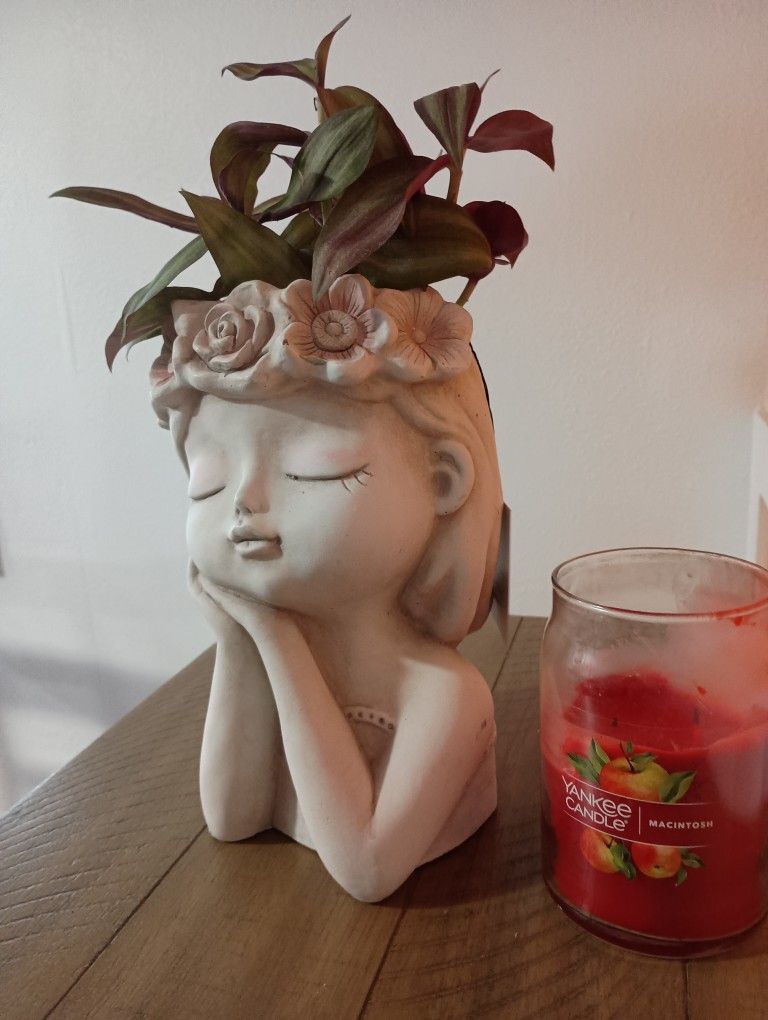 Real Plant With Ceramic Pot $25