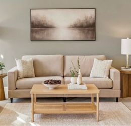 Beige Velvet Couch