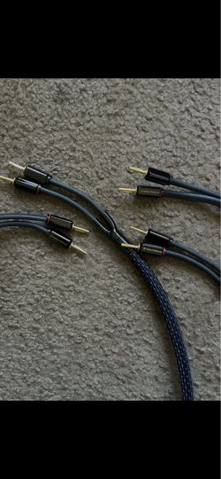 Tributaries series 4 quad star banana plug 10ft