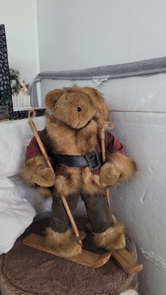 Teddy Bear Ski