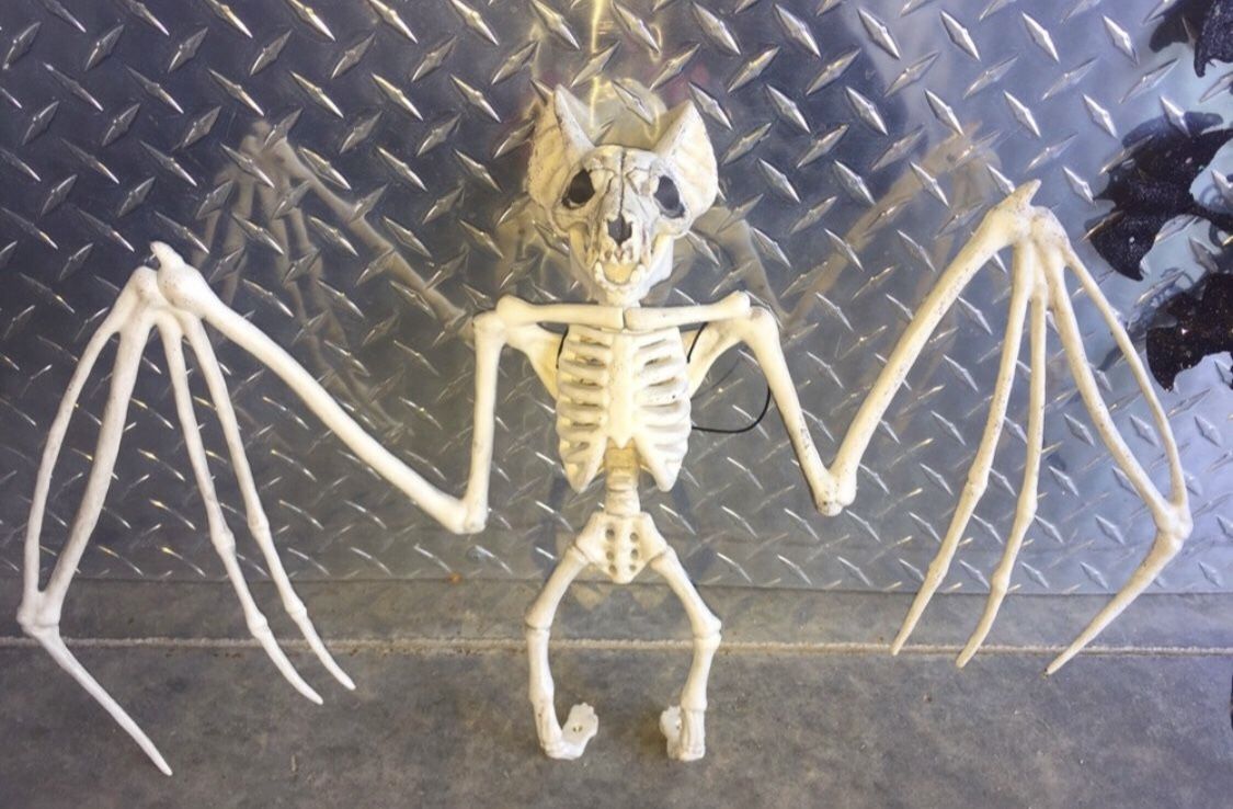 Bat Sleketon Halloween Indoor Outdoor Decoration Ornament Plus Free Gift