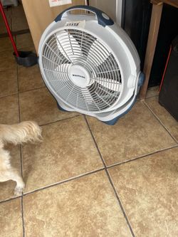 Excellent condition different sizes fans